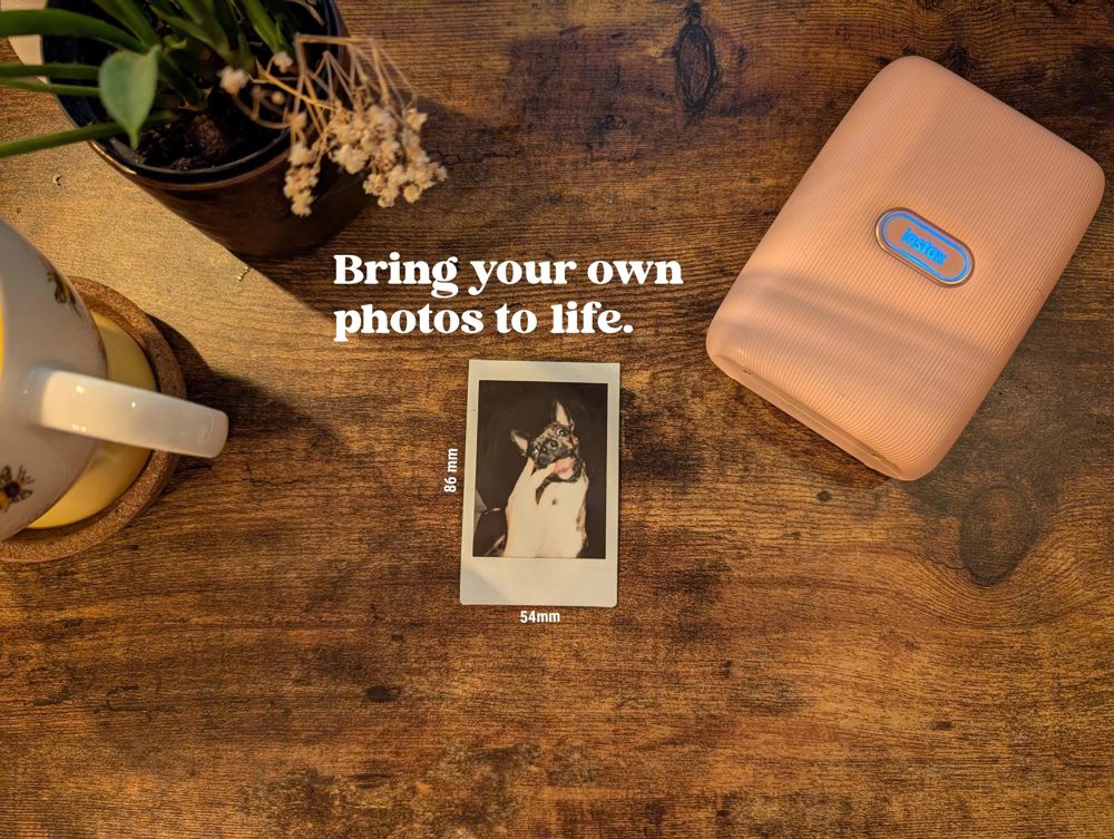 an instax mini print of a dog on a wooden table, next to a pink instax printer